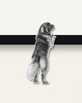 Paws Up – Nipped Out framed wall art (detail)